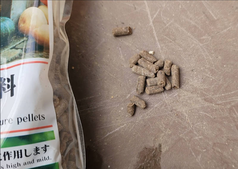 メダカ飼育 100円でミジンコを手軽に増やす方法 ダイソー商品で手軽にミジンコ増やせます たまやく たまに役立つ情報載ってます